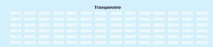 Transpennine Livery Class 68 Renumbering Pack - for DAPOL 68 OO