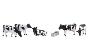 379 341Cows