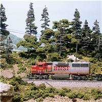 wlkrealistictreeslearningkit medium jpg