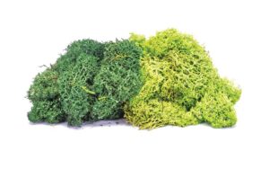 Hornby Skaledale R7195 Lichen - Large Green Mix