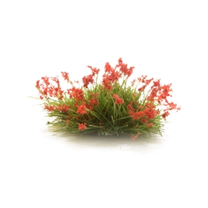 Woodland Scenics - WFS773 Red Flowering Tufts