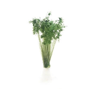 Woodland Scenics - WFS778 Dark Green Prairie Grass
