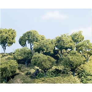 large jpg