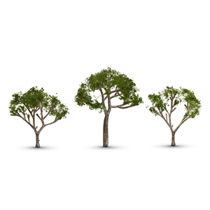 trgumtreeedeed large jpg