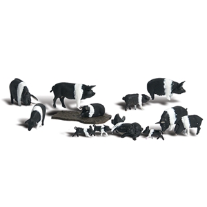 Woodland Scenics - WA1864 HO Hampshire Pigs - 1:87 Scale