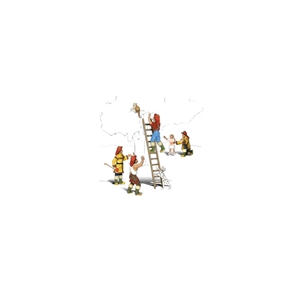 wa large jpg