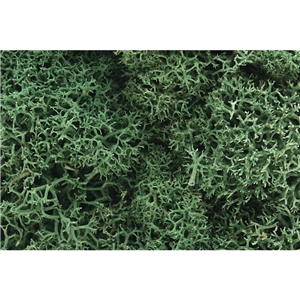 Woodland Scenics - WL162 Light Green Lichen