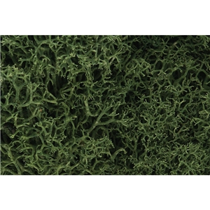 Woodland Scenics - WL163 Medium Green Lichen