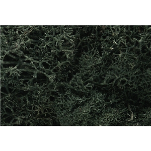 Woodland Scenics - WL164 Dark Green Lichen