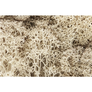 Woodland Scenics - WL166 Natural Lichen