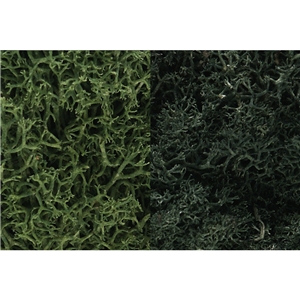 Woodland Scenics - WL168 Dark Green Mix Lichen