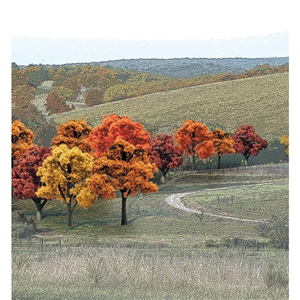 Woodland Scenics - WTR1575 ?"-2" Ready Made Fall Colours Deciduous Value Pack (38/Pk)