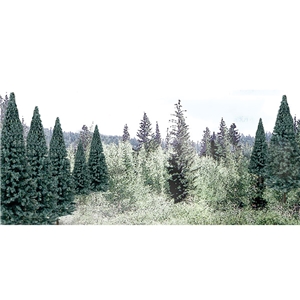 Woodland Scenics - WTR1587 2"-4" Ready Made Blue Spruce Value Pack (18/Pk)