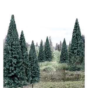 Woodland Scenics - WTR1588 4"-6" Ready Made Blue Spruce Value Pack (13/Pk)