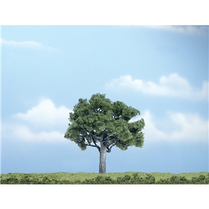 Woodland Scenics - WTR1622 3 7/8" Premium Walnut (1/Pk)