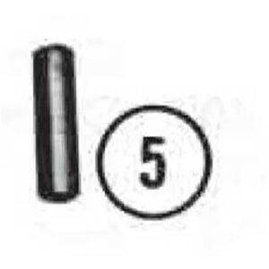 CREATOR: gd jpeg v (using IJG JPEG v), quality =