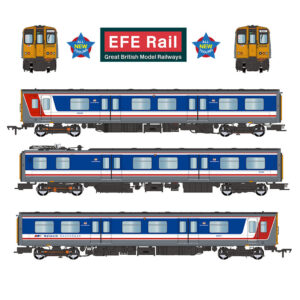 EFE Rail E81003 Class 313 3-Car EMU 313018 BR Network SouthEast - OO Gauge