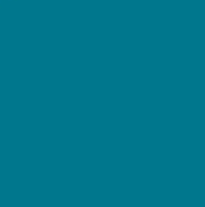 30ml EPR Blue Turquoise paint - 30ml