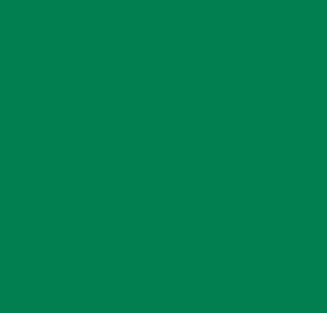 30ml EPR Green paint - 30ml
