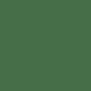 30ml BR Early Multiple Unit Green paint - 30ml