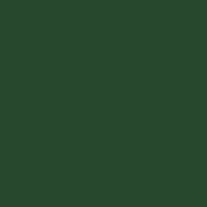 30ml BR Later Multiple Unit Green paint - 30ml