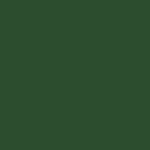 30ml BR Standard Loco Green (BR Brunswick Green) paint - 30ml