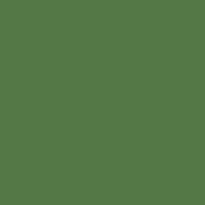 30ml BR Standard Loco Light - Sherwood Green paint - 30ml